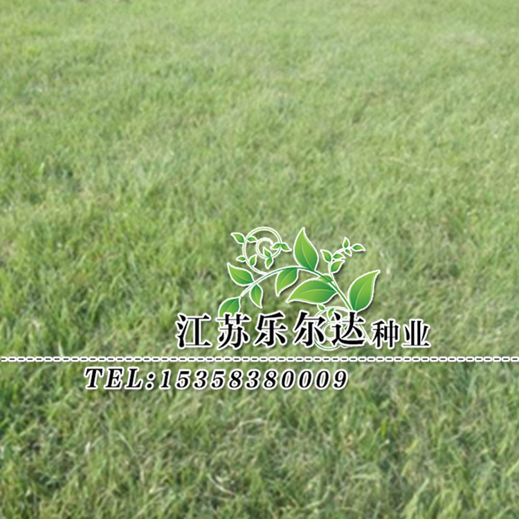 未命名_副本5_副本1