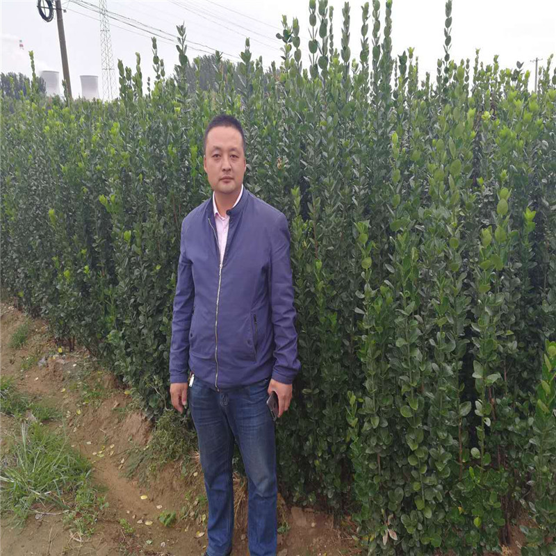 微信图片_20171010130625