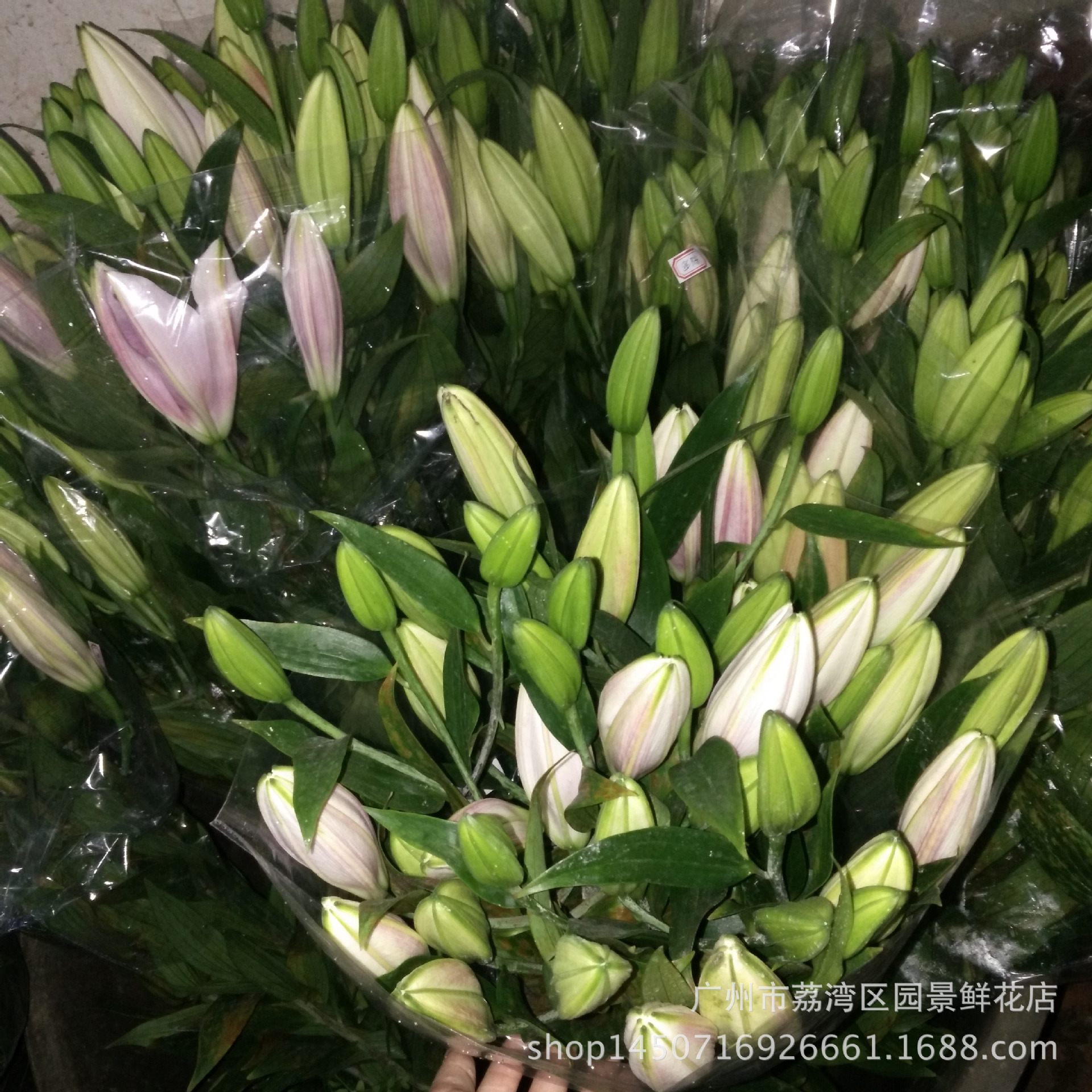 昆明鲜切花批发各品种百合罗宾娜梯伯黄天霸单头双头三头多头都有 阿里巴巴