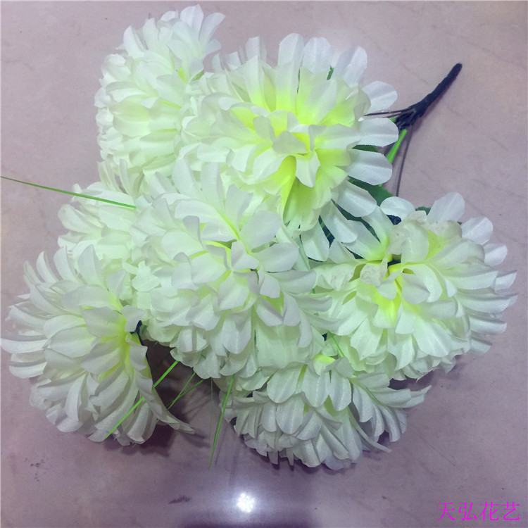 IMG_8741(20170831-162247)