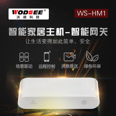 沃视物联网智能家居智慧中心 手机远程控制系统主机电器中控网关