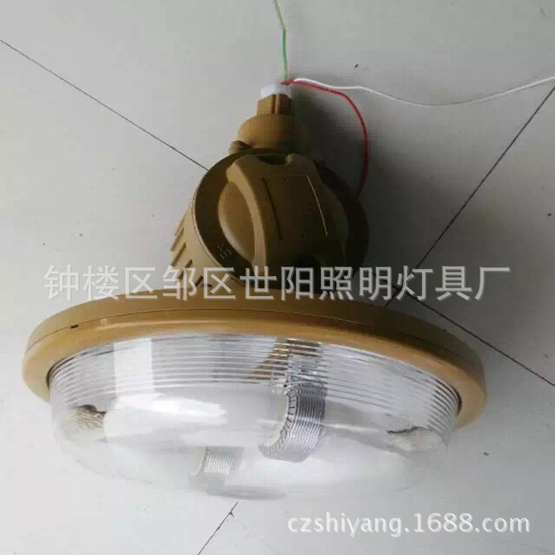 【供应产品】防爆无极灯低频无极灯 免维护节能防水防腐灯 工矿灯