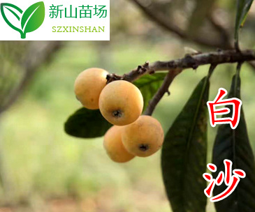 20170802151714_副本