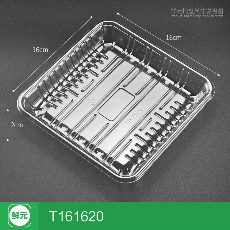 T161620 트레이 [투명] 100