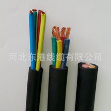 �͉������~о�����| 450/750V �������׾�