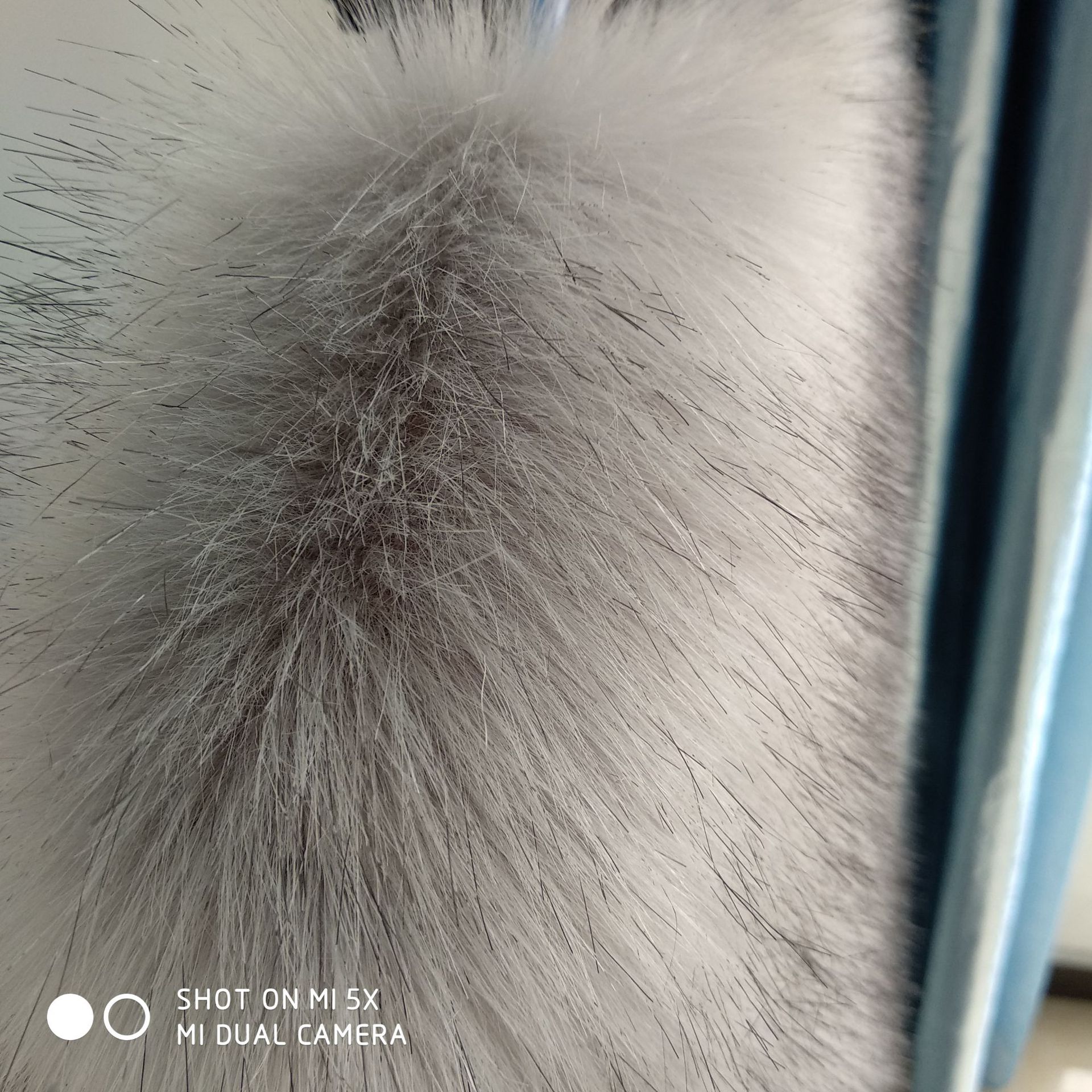 QQ图片20171115105639