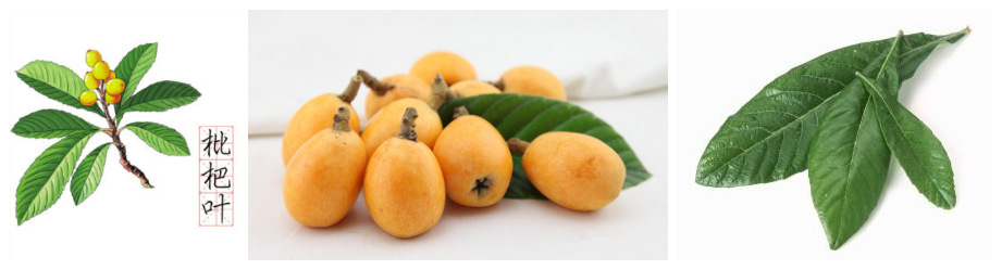 t014b4be0f7297839d1_副本