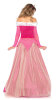 Halloween pink blue paint princess dress sleeping beauty