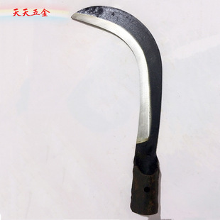 �S�ҹ��������ŵ����~砵� �� 砵�  �@�ֹ��� Ұ�I�þ����l