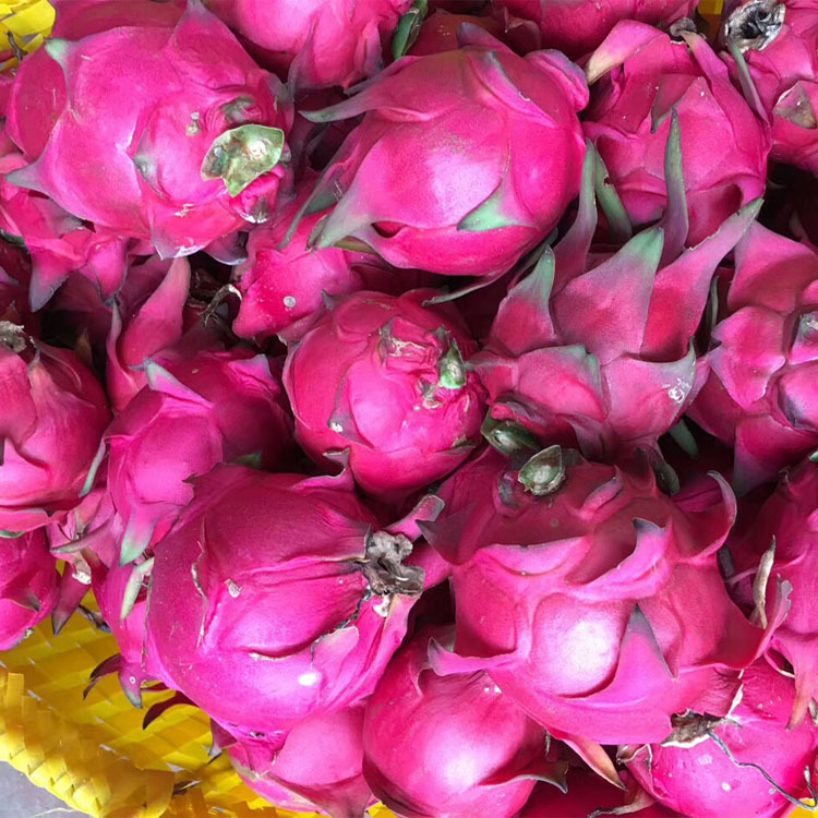 火龙果-越南红肉红心火果5斤7-8个大果孕妇水