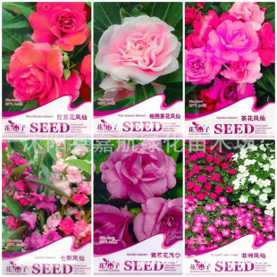 �軨�P�ɻ��N��ָ�ײ��߲��P�ɷ��޼t�۟�����ɫ�WУ�W���N�ʴ��b