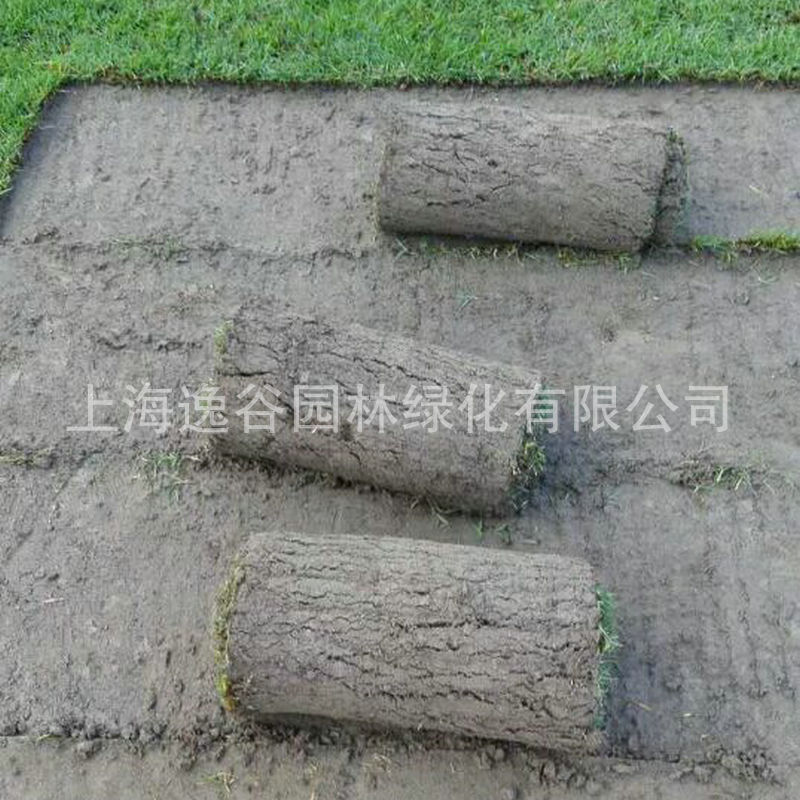 34235338F7FB8D8B6F001627CCD782