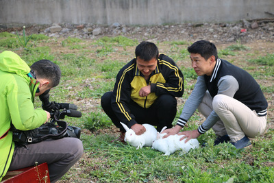 獭兔毛球 8cm_獭兔毛球 8cm_獭兔毛球 8cm|ms