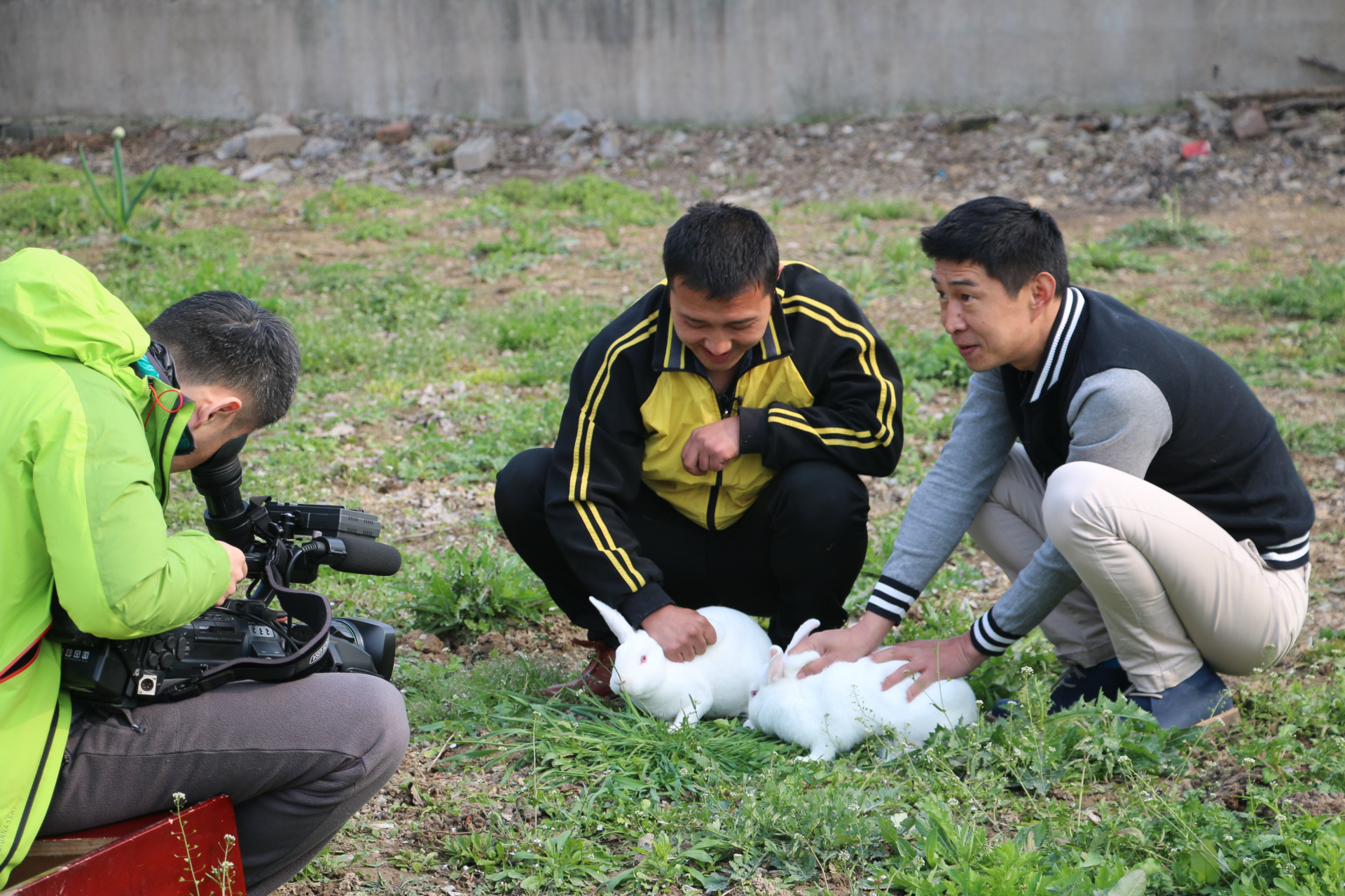 獭兔毛球 8cm_獭兔毛球 8cm_獭兔毛球 8cm|ms