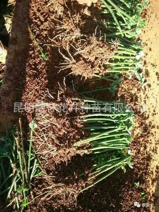 ΢ͼƬ_20170728162456