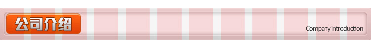 公司介绍