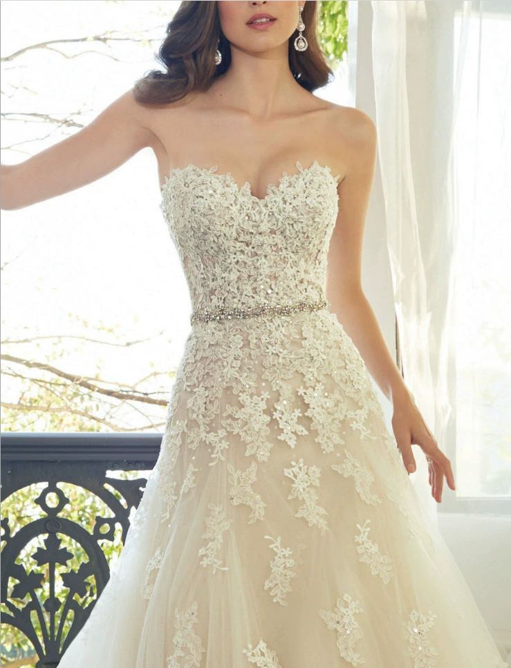 Bride's slim lace tail wedding dress