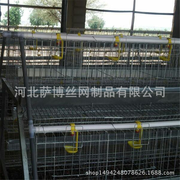 供应洛阳自动化电镀锌养鸡笼厂家 养殖场蛋鸡笼价格