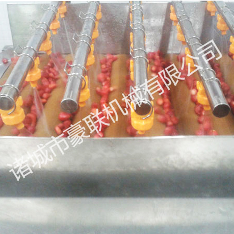 新品上市草莓清洗加 工线  自动草莓清洗线【图】