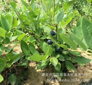 �{�S�{ݮ��r�� �����{ݮ��r�� �����{ݮ��r�� �{ݮ�����l�r��