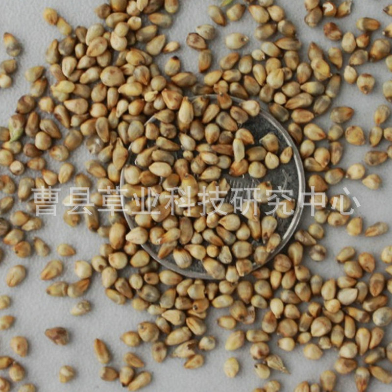 1152990903_1941745036