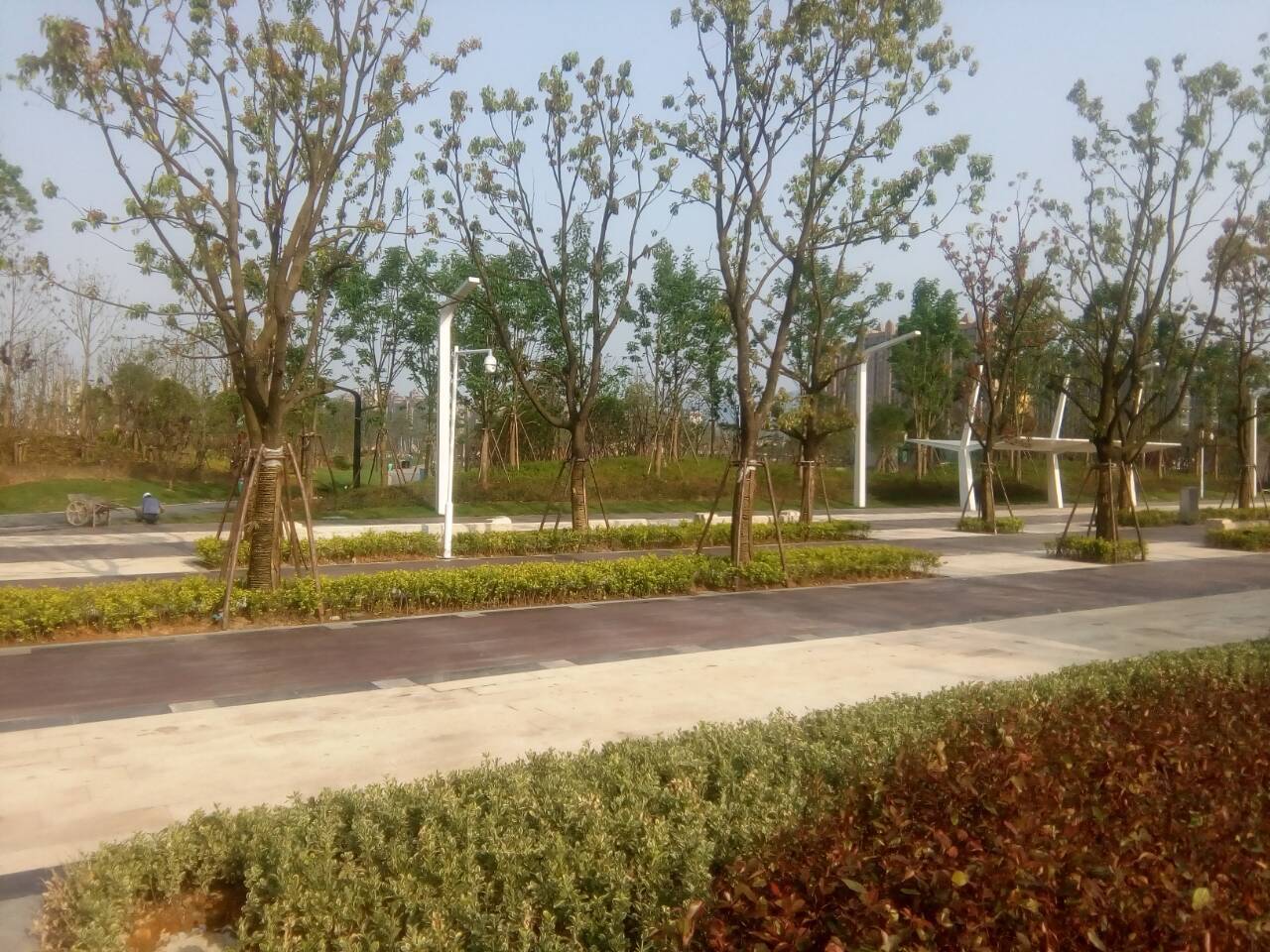 CC62E5D657AE50A0EB704961AB5790