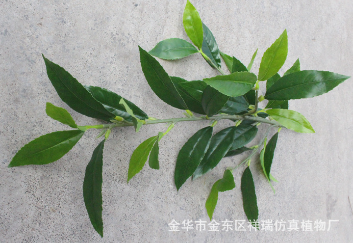 XRB-163新桂花四叉枝立体3