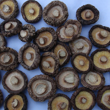 香菇板菇2.0-3.0cm 菇世寶 香菇腳，單雙剪 菇腳片 丁絲