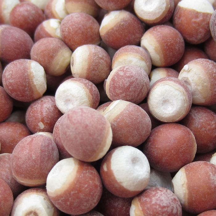 Dried Gorgon Fruit Seeds Qian Shi 500g Whole Euryale Seeds for Cooking and Congee quality and texture