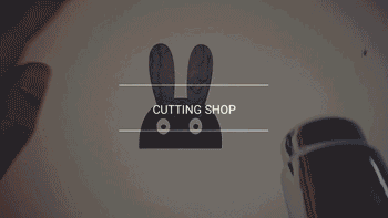 HTB14VdcKFXXXXcqXFXXq6xXFXXXP