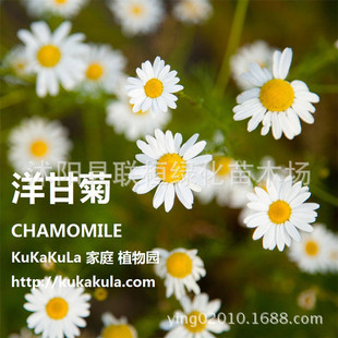 �_�R�ʾշN�� ��ʾջ��N���ļ����������̨���Դ��S�� �������