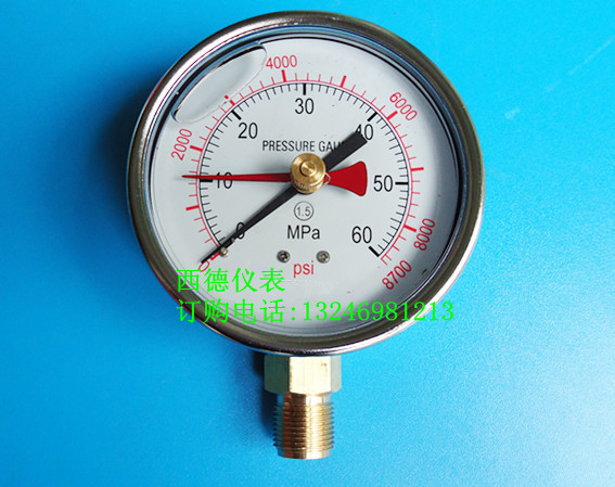 100MM径向0~60MPA充油防震双指针压力表 充油防震记忆型压力表