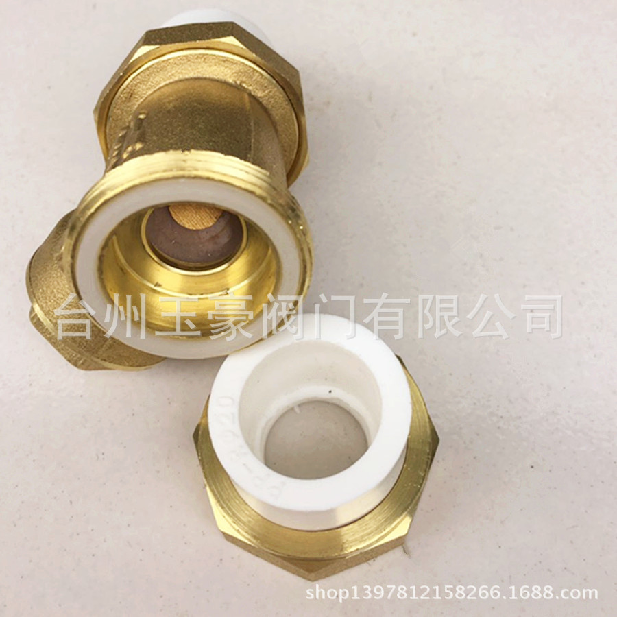 PPR止回阀6
