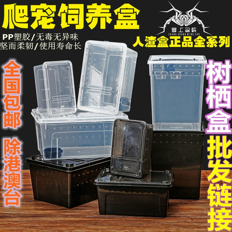 Профессиональная рептилия домашнее животное Ciliary Corner Шоугун Тарантул Geoguya Monster Шоугун Арбореальный Альпинизм Коробка для кормления домашних животных Высокая коробка