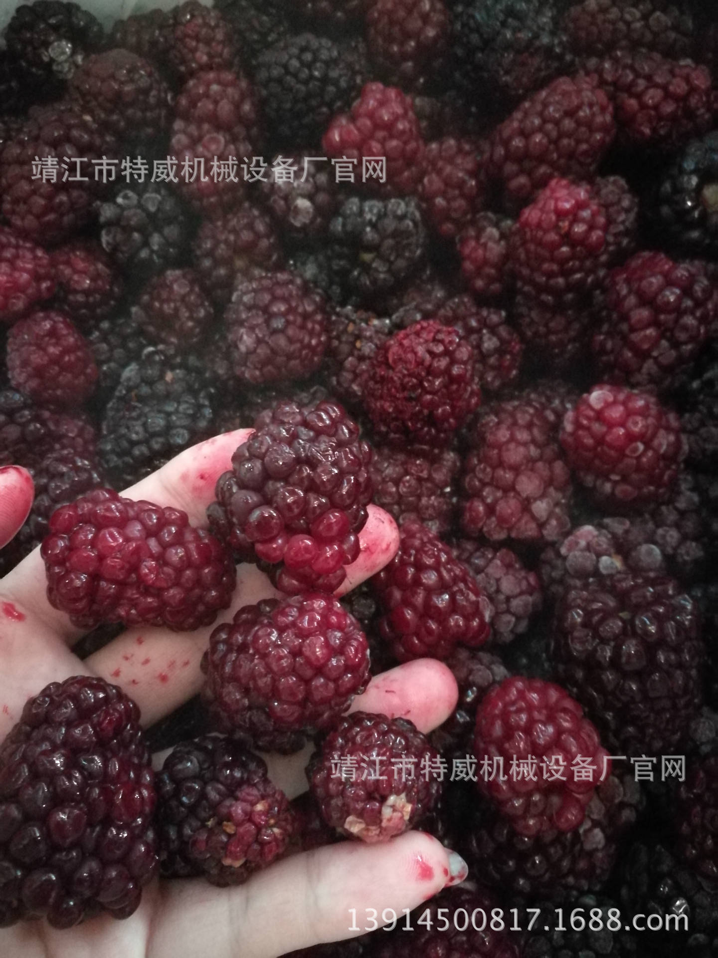 长期现货销售去核双道打浆机 桃杏李去核去皮打浆过滤机