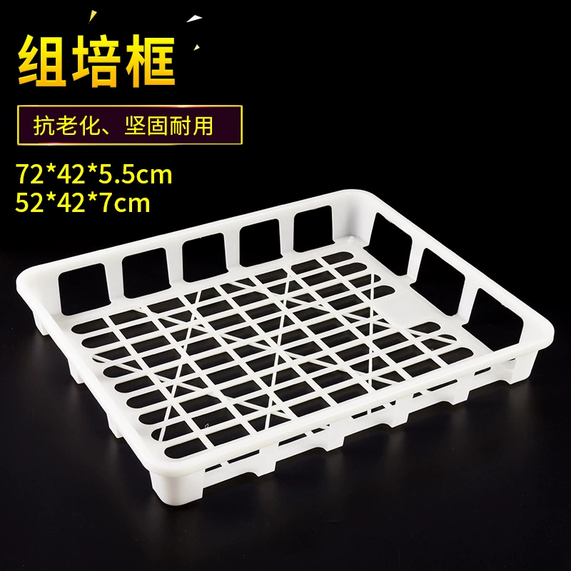 Лоток для рассады Орхидея Испытание на устойчивость к высоким температурам Корзина для картофельной ткани Пластиковая корзина Оборотная корзина Белая Высокая прочность