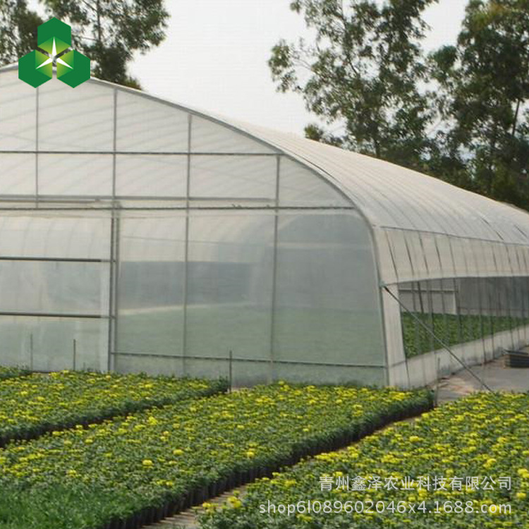 蔬菜大棚 钢管大棚 塑料膜大棚简易大棚 厂家