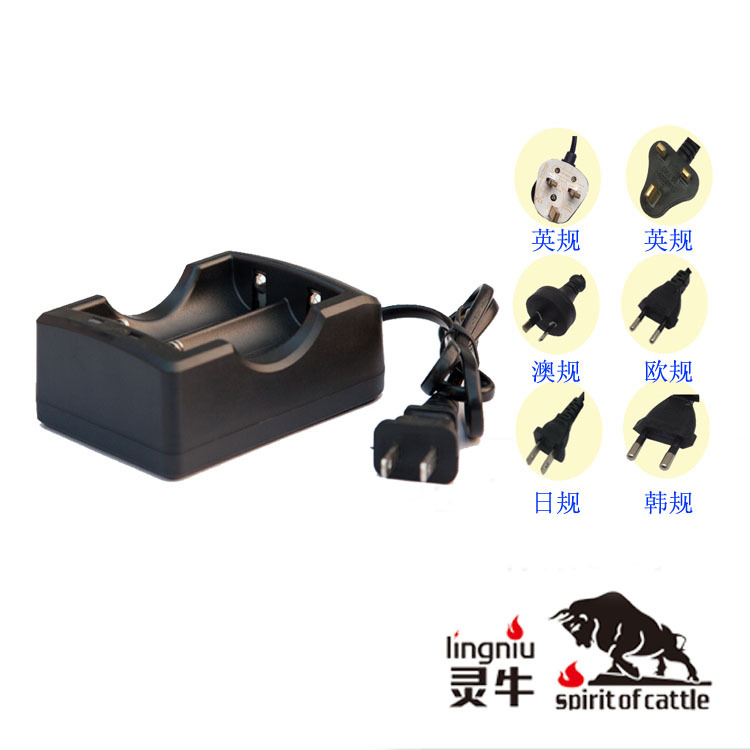 美规双槽26650 磷酸铁锂电池充电器 3.2V1A CE FCC认证 厂家直供