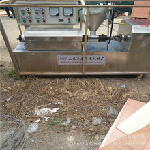 廠家直銷面皮快面機 小麥面粉做干涼皮的機器 大豆豆筋豆絲機價格