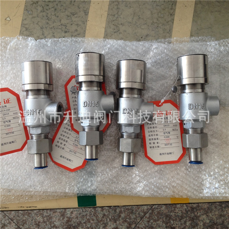 A21不锈钢安全阀170215 (9)