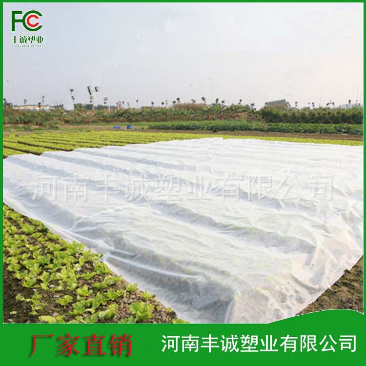 供应水稻育苗用无纺布 可降解无纺布 农用无纺布