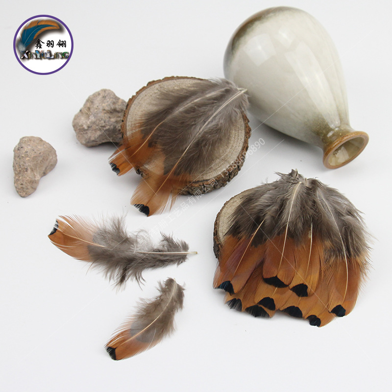 野鸡羽毛山鸡大点DIY装饰服装帽子首饰品材料厂家直销
