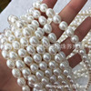 Necklace from pearl, wholesale, 9-10mm