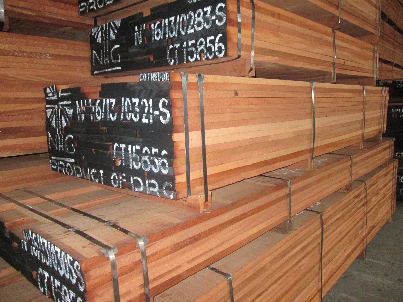 IMG_1546 - ����