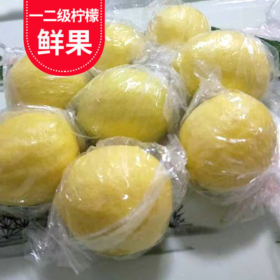 现货供应安岳特产水果一 二级新鲜黄柠檬尤力克 新果现摘现发