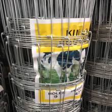 厂家现货牛栏网 圈地家禽养殖网围栏 镀锌铁丝栏围栏 草原圈羊网