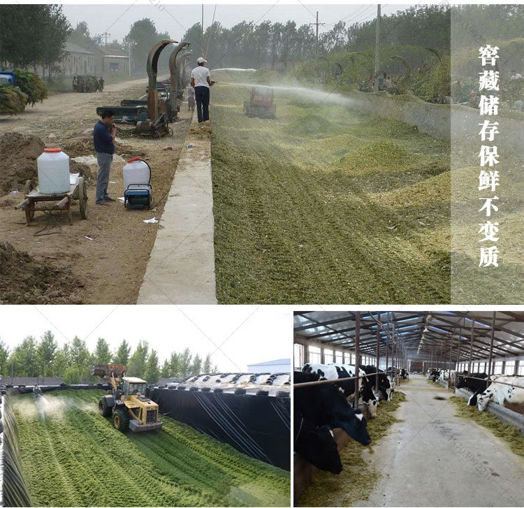 青贮发酵剂