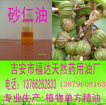 ɰ���͏S��ֱ�N����ă��S��ֱ�N