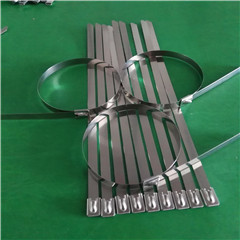 厂家直销不锈钢扎带7.9*200mm 201 304 316材质规格齐全