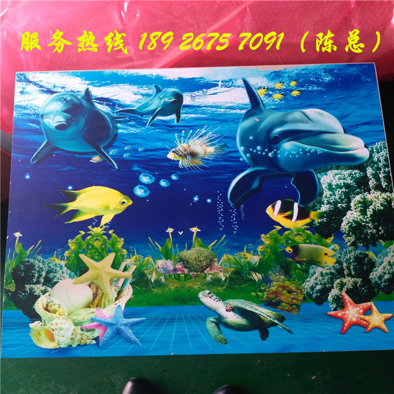 3919190996_1431552218_����